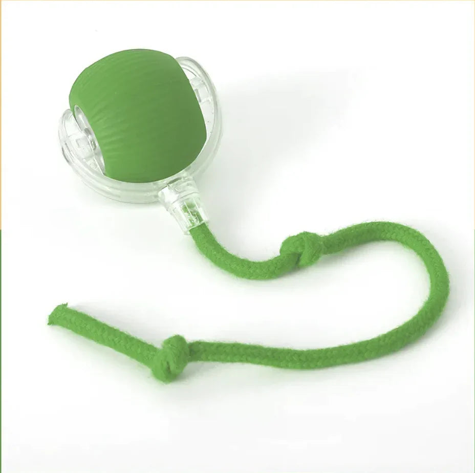 Auto-Rolling Play Ball for Pets