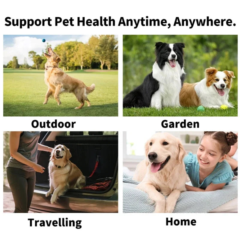 50Pcs/box Dog Dental Care Wipes Cat & Dog Teeth Cleaning Finger Wipes Dog Tooth Brushing Kit Dental Wipes