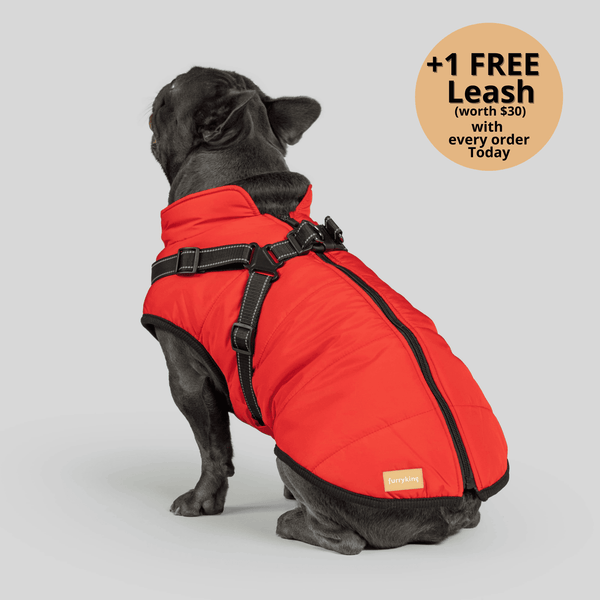 auroragloss™ 3 in 1 Jacket