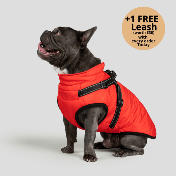 auroragloss™ 3 in 1 Jacket
