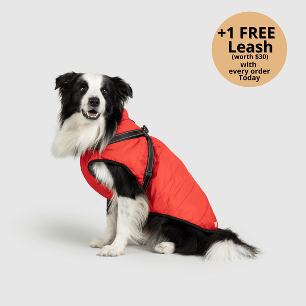auroragloss™ 3 in 1 Jacket
