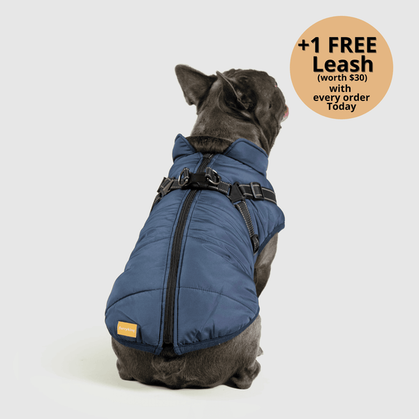 auroragloss™ 3 in 1 Jacket