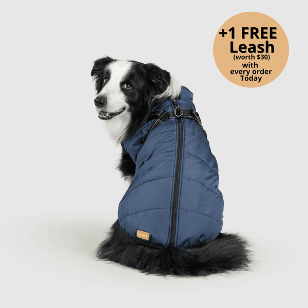 auroragloss™ 3 in 1 Jacket