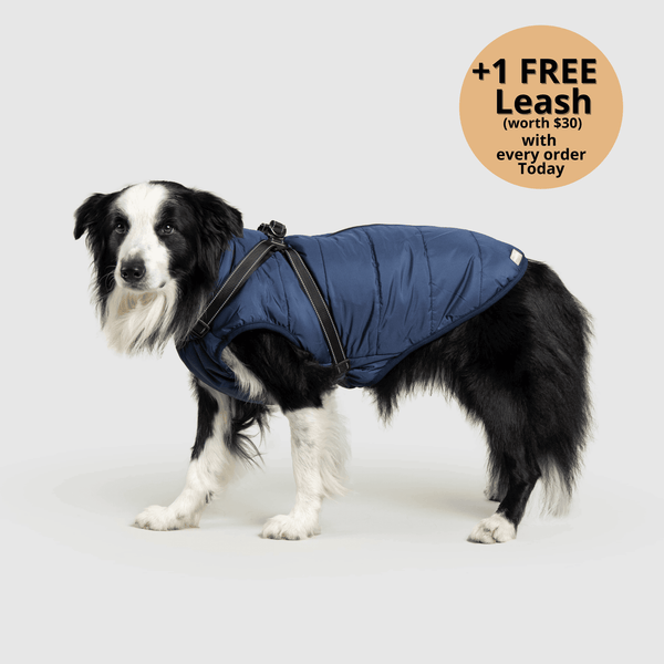 auroragloss™ 3 in 1 Jacket