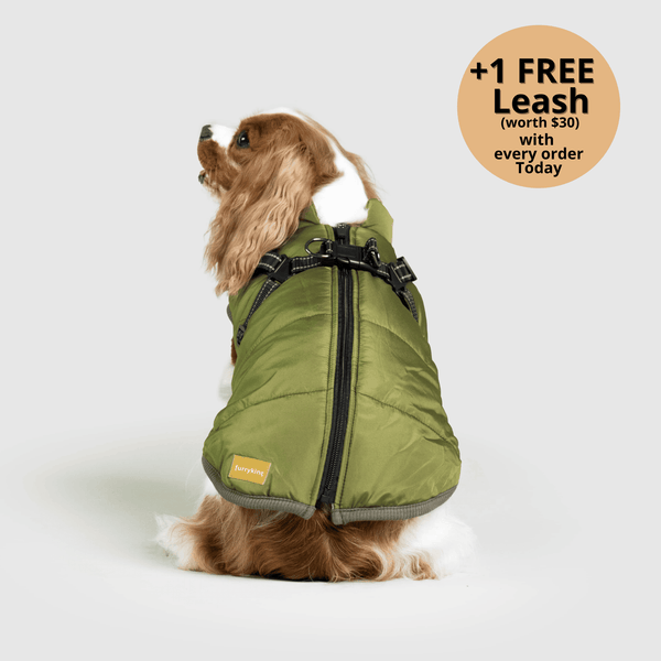 auroragloss™ 3 in 1 Jacket