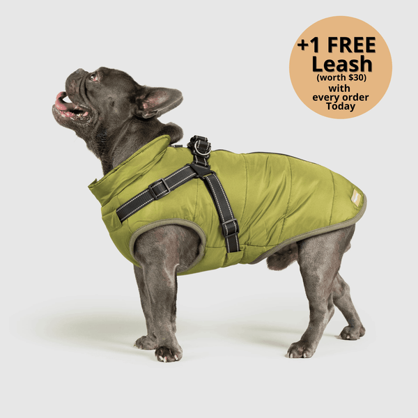 auroragloss™ 3 in 1 Jacket