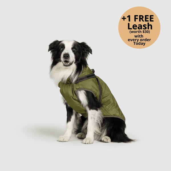 auroragloss™ 3 in 1 Jacket