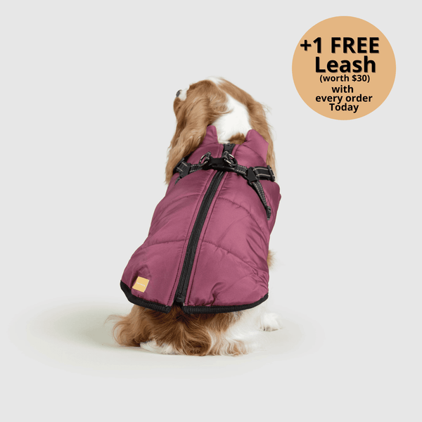 auroragloss™ 3 in 1 Jacket