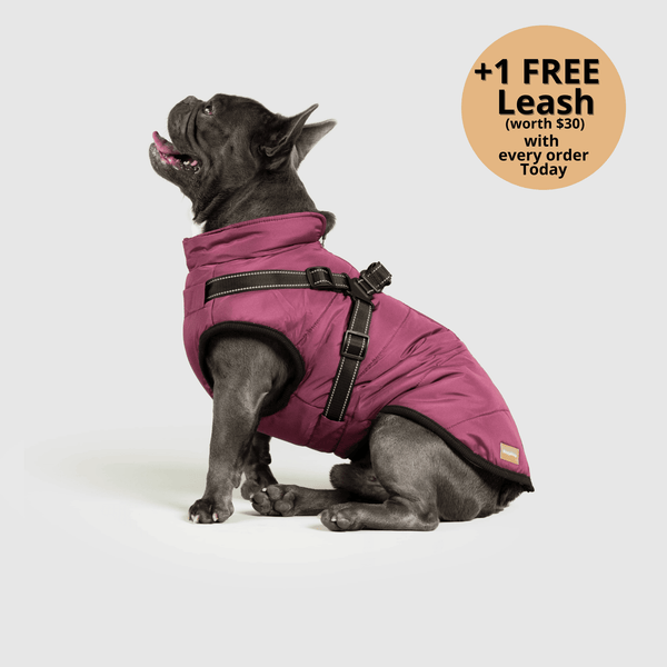 auroragloss™ 3 in 1 Jacket