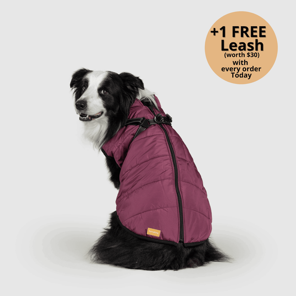 auroragloss™ 3 in 1 Jacket