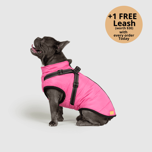 auroragloss™ 3 in 1 Jacket