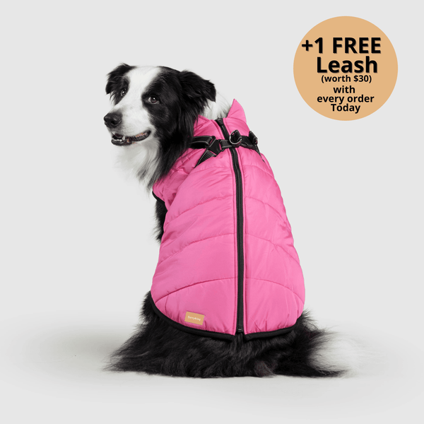 auroragloss™ 3 in 1 Jacket