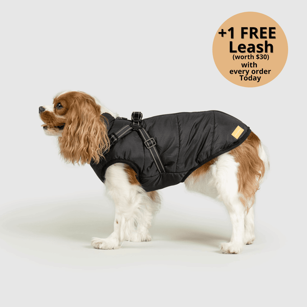 auroragloss™ 3 in 1 Jacket