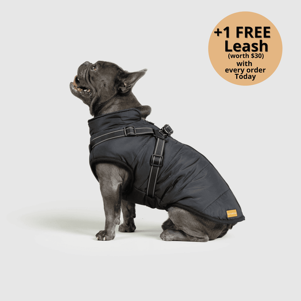 auroragloss™ 3 in 1 Jacket
