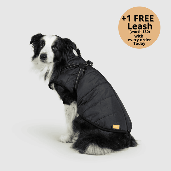 auroragloss™ 3 in 1 Jacket