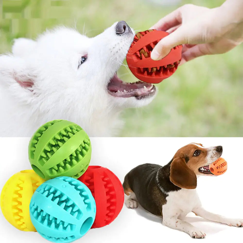 The IQ Treat Ball
