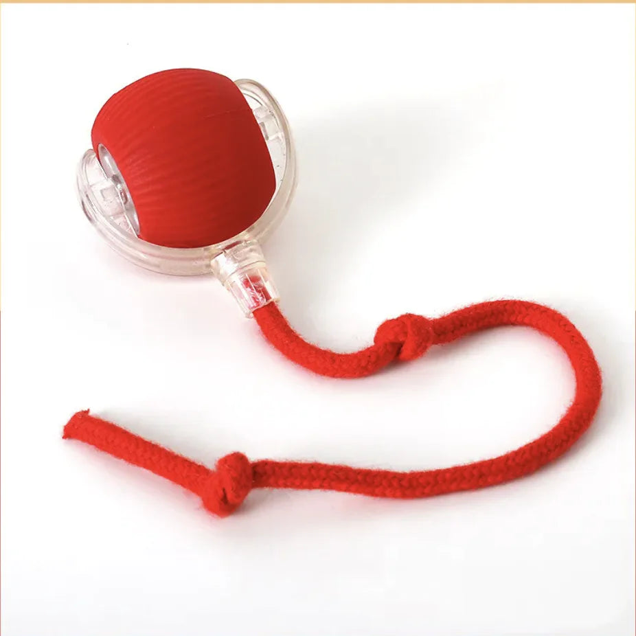 Auto-Rolling Play Ball for Pets