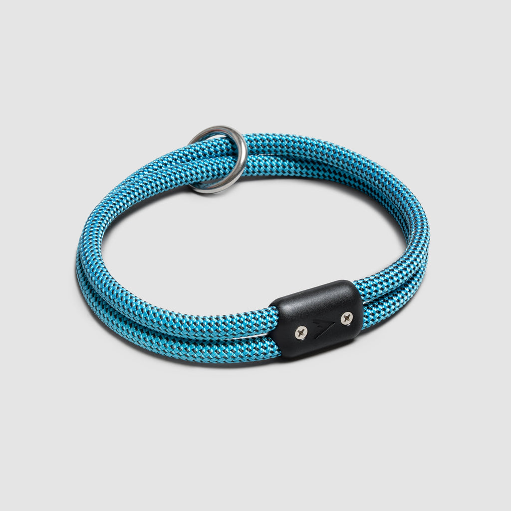 Lifetime Collar
