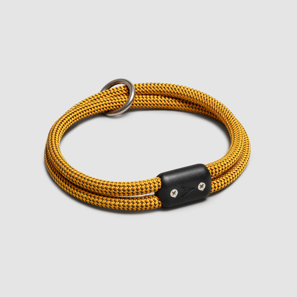 Lifetime Collar