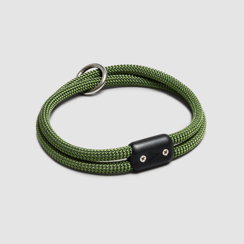 Lifetime Collar