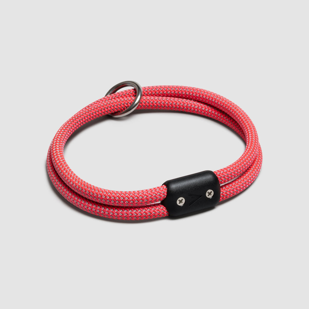 Lifetime Collar
