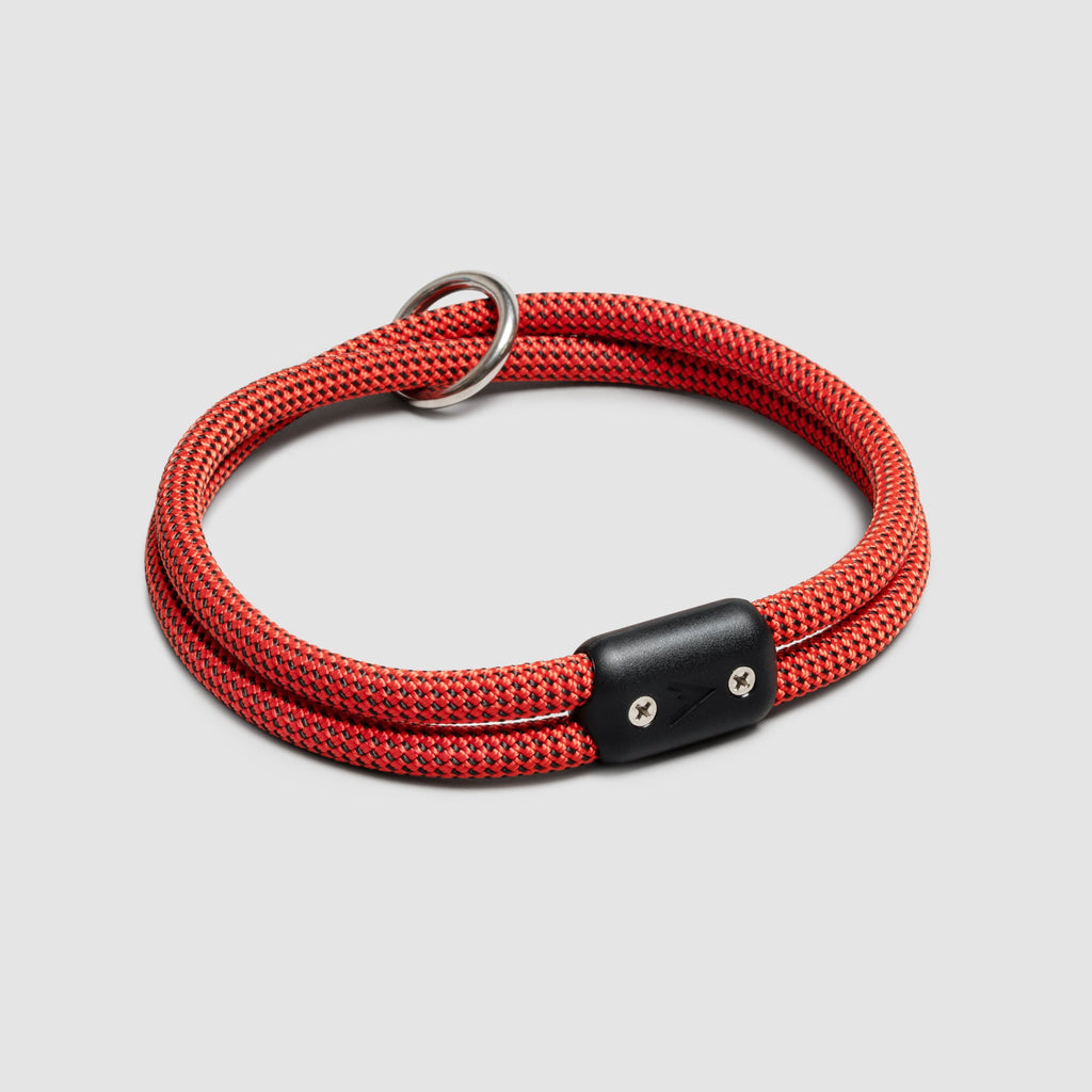 Lifetime Collar
