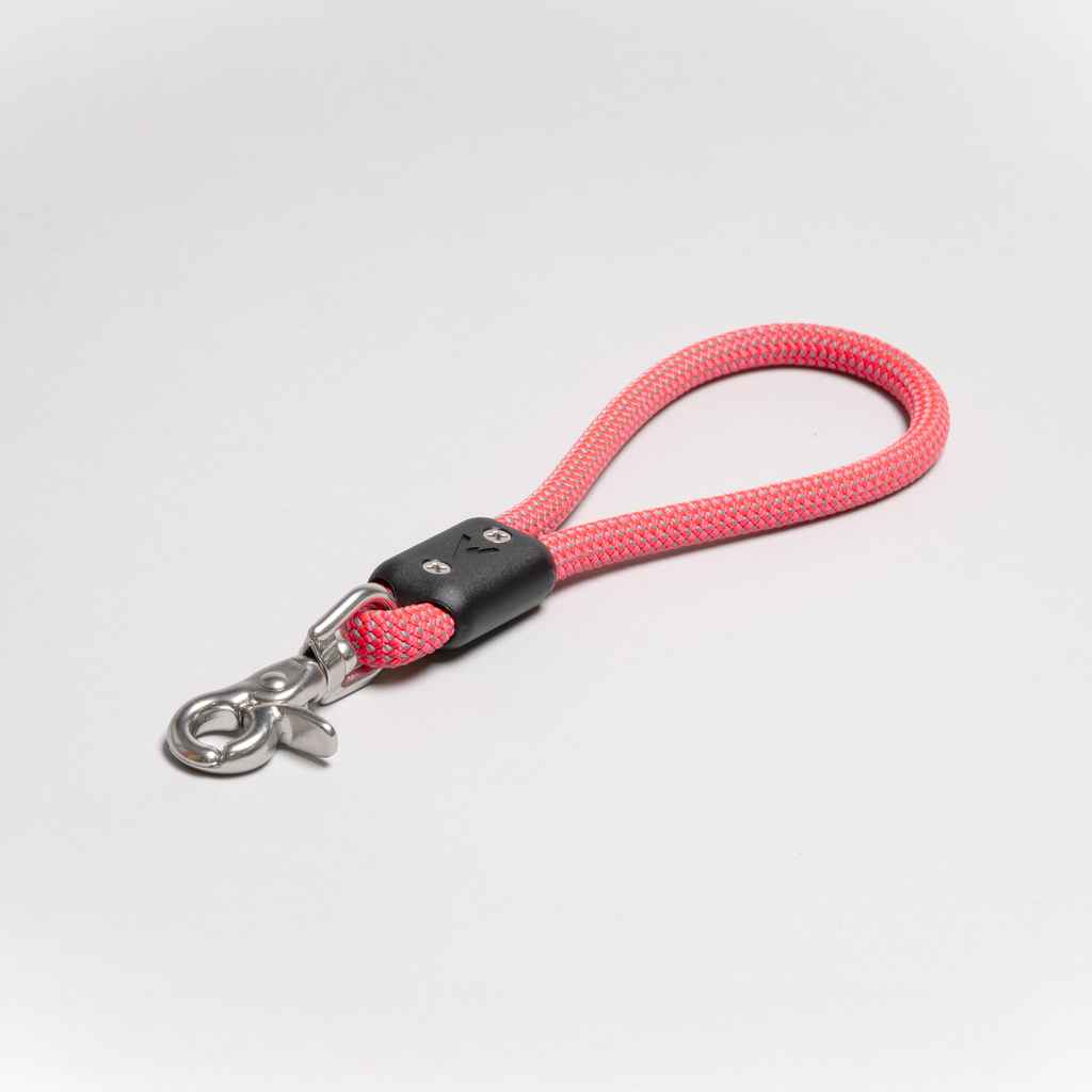 Lifetime Handle