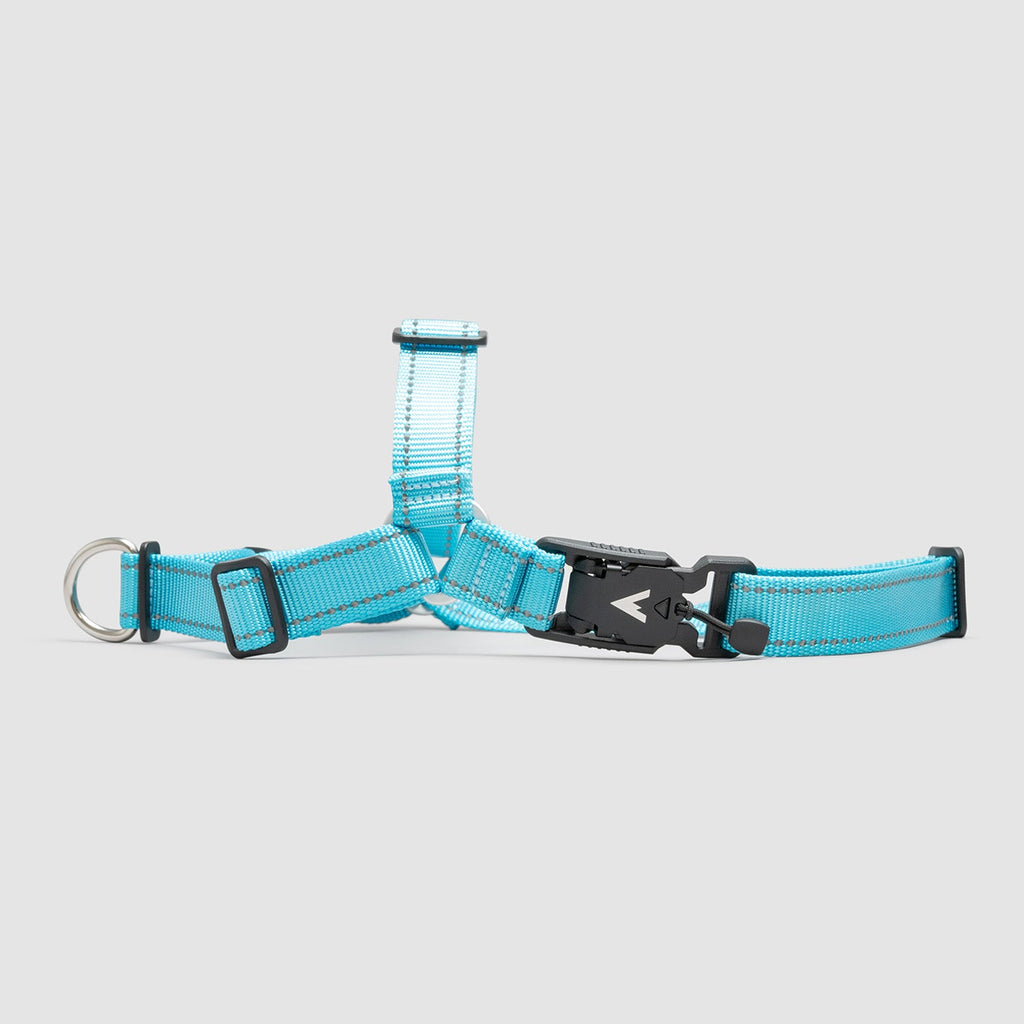 Lifetime Harness