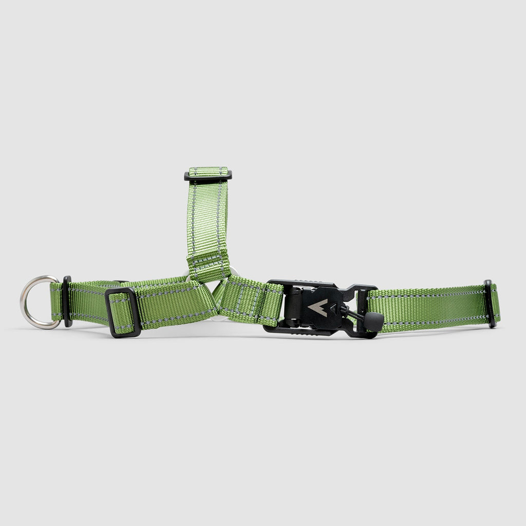 Lifetime Harness