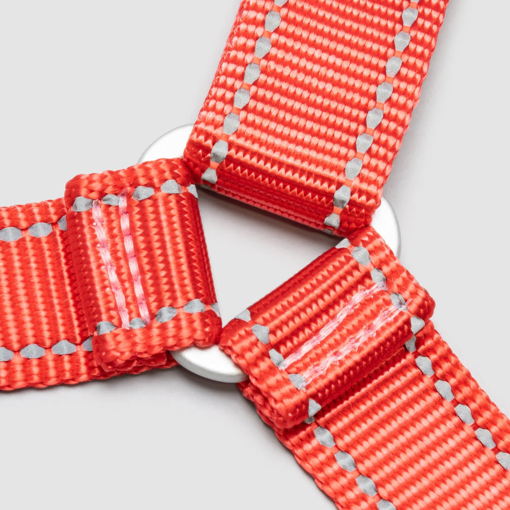 Lifetime Harness