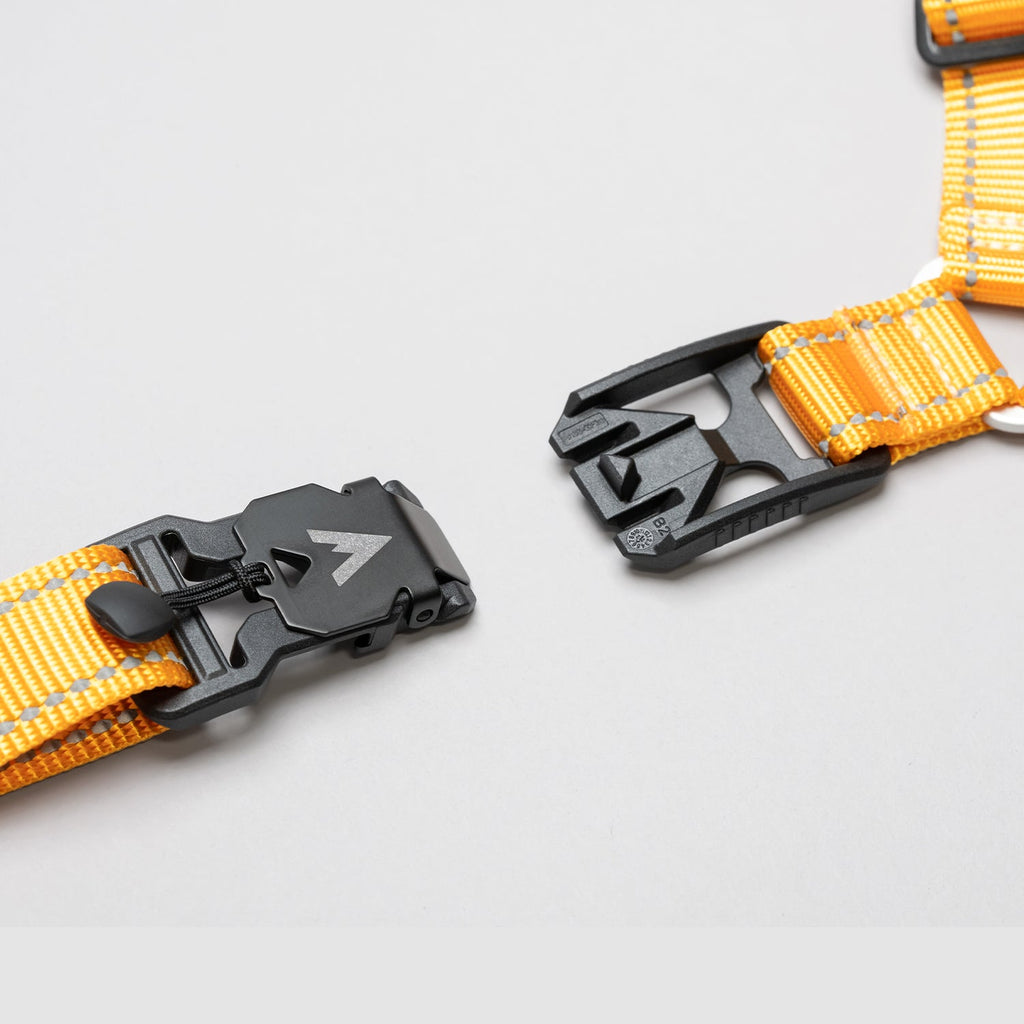 Lifetime Harness