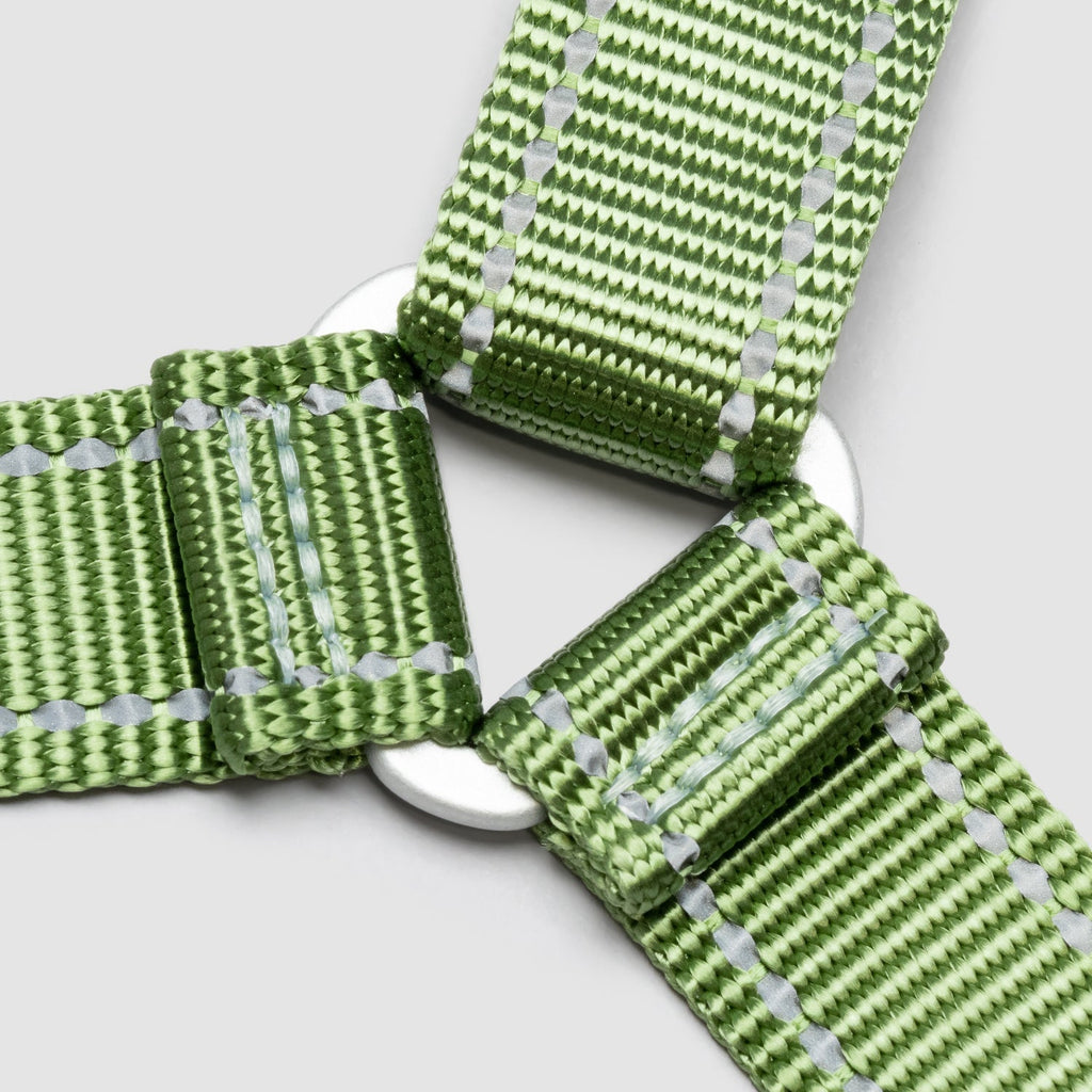 Lifetime Harness