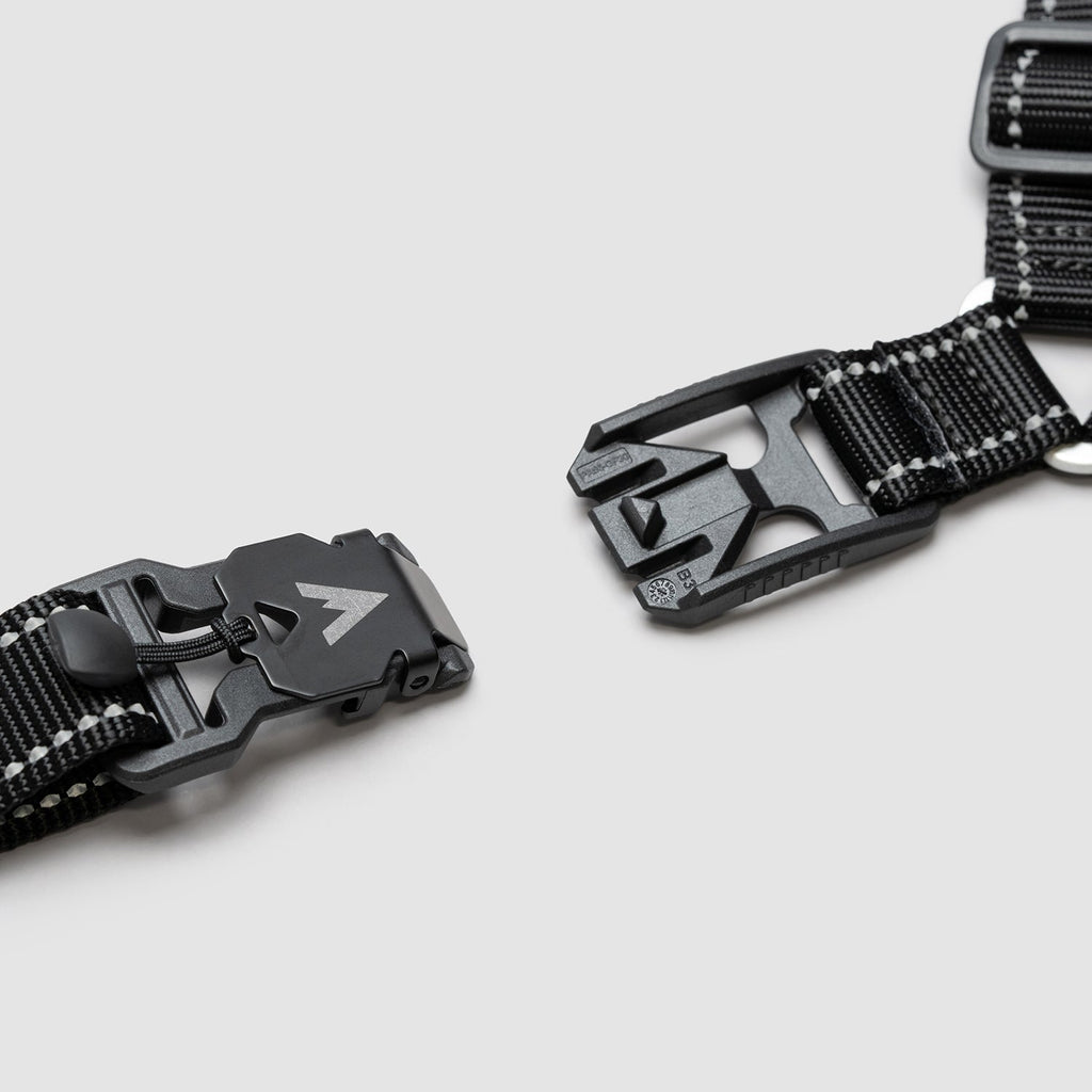 Lifetime Harness