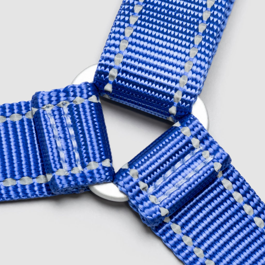 Lifetime Harness