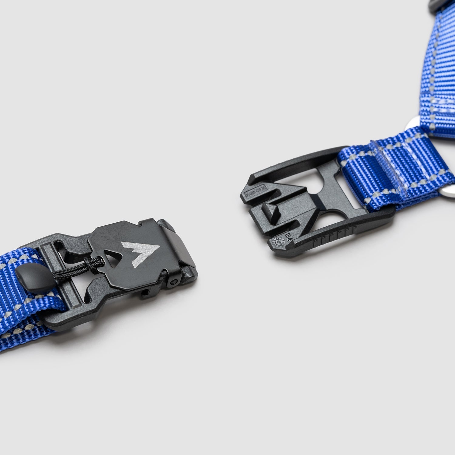 Lifetime Harness