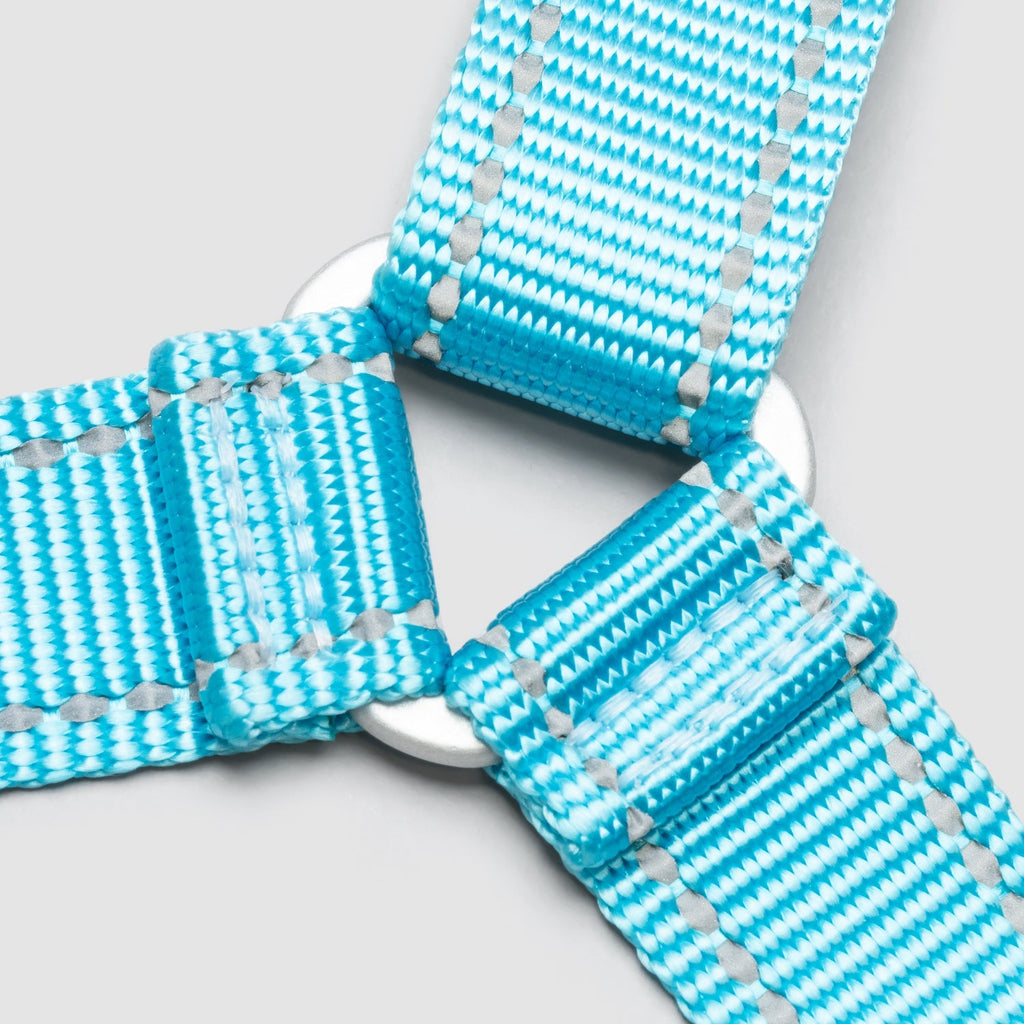 Lifetime Harness