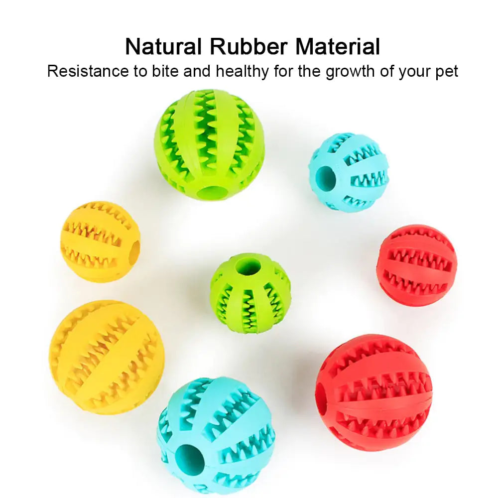 The IQ Treat Ball