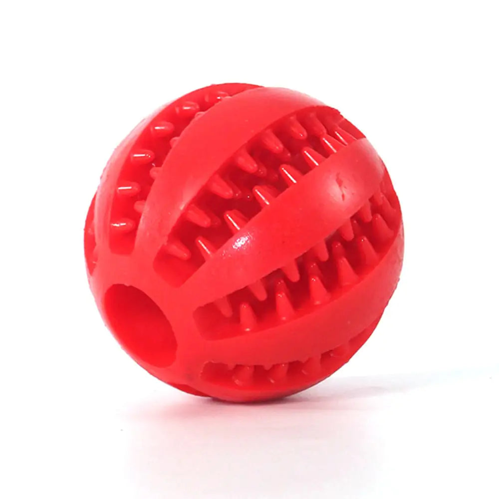 The IQ Treat Ball